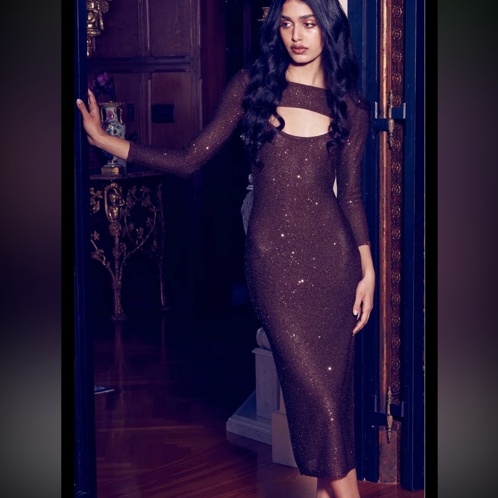 NWT $415 Misa Los Angeles Glittering Brown Midi Dress Size Small (2 piece)